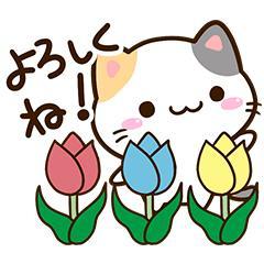 おはようございます(^^)