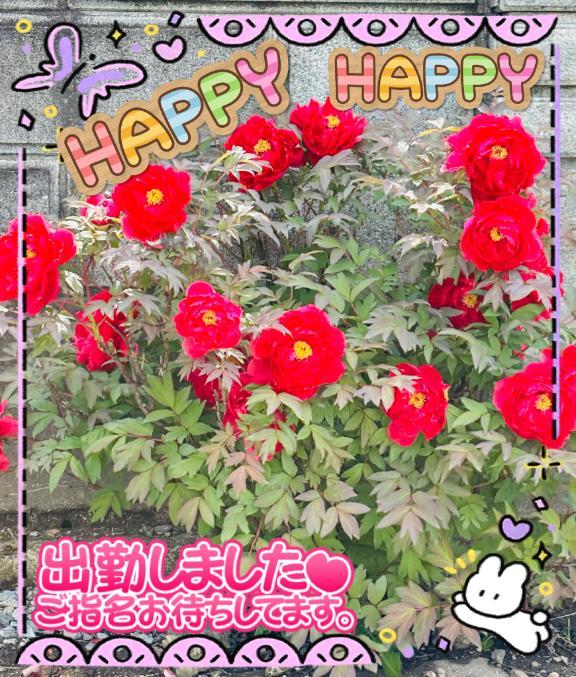 出勤しました