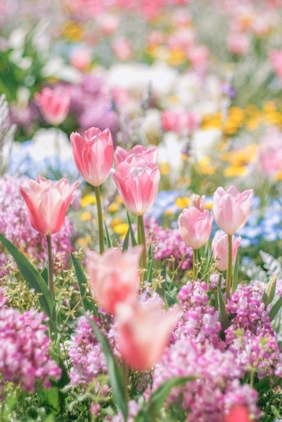 T様への御礼🌸