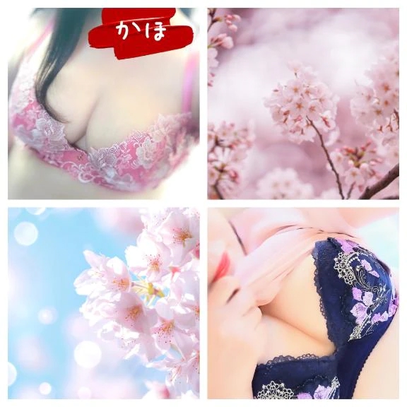 日向ぼっこしましょ✨