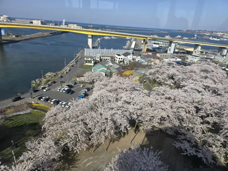 こんばんは🌙/矢島　茉奈香