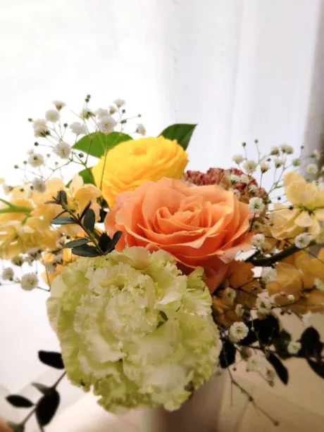 ことみ奥様鉄道69　仙台店