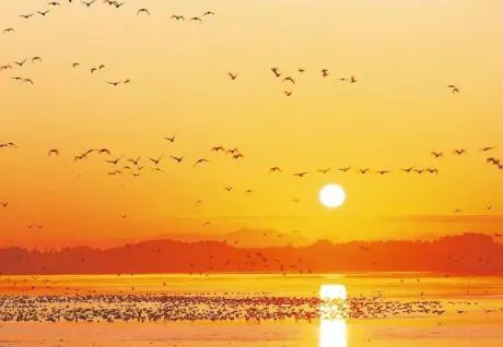 しほ愛 LAND-アイランド-