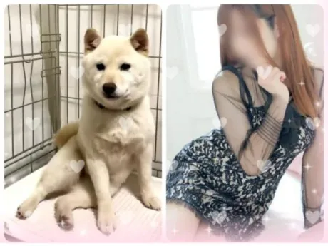 ウミ人妻生レンタルーNTRー
