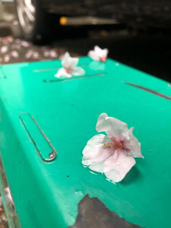 しずく仙台回春性感マッサージ倶楽部