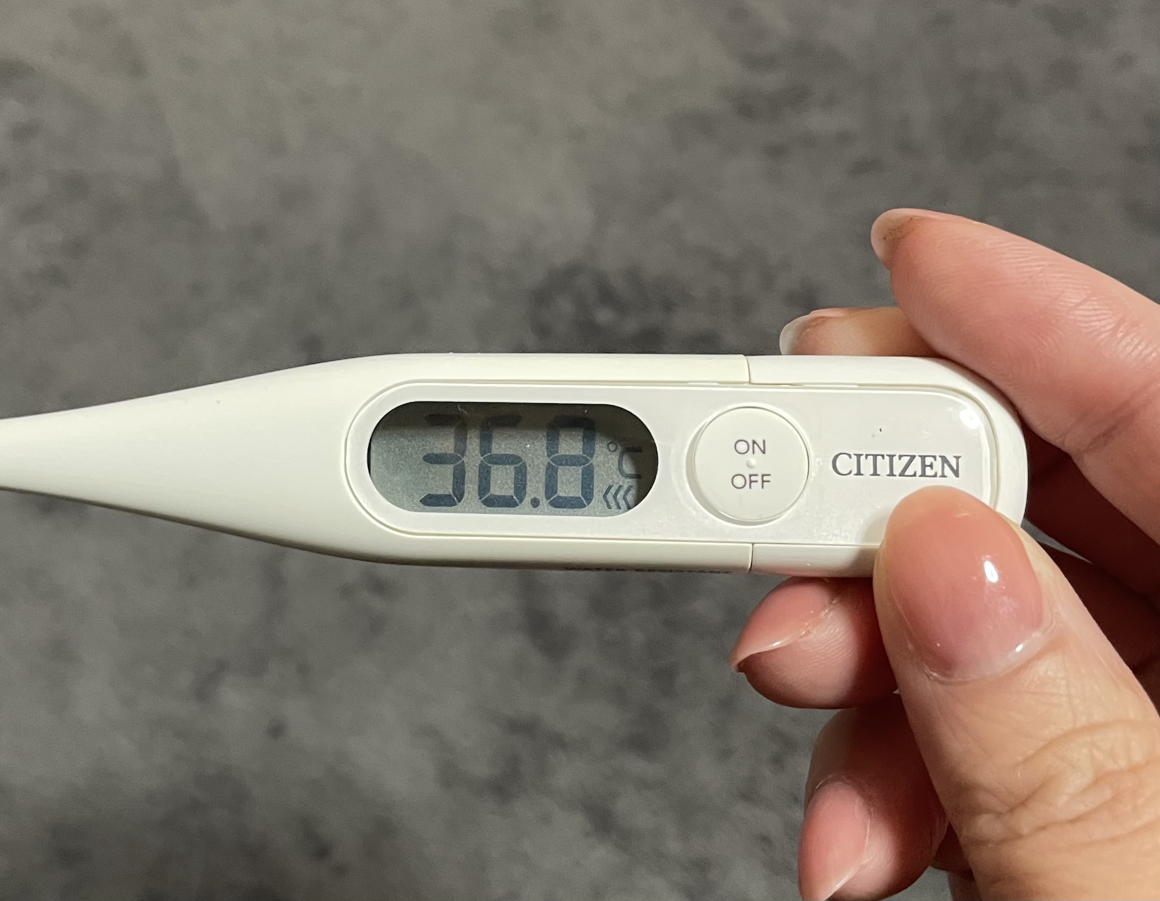 おはようございます/もえ【青森大釈迦】