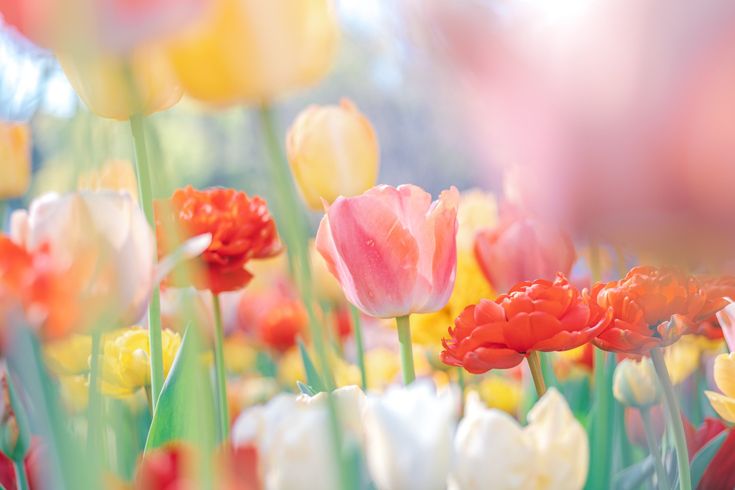 おはようございます/ゆりか