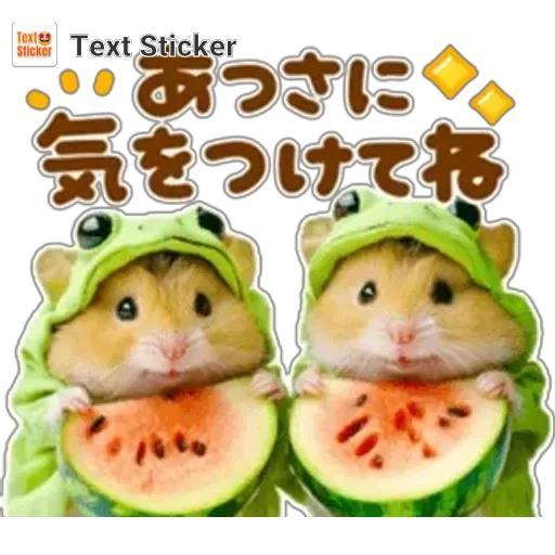 気をつけましょう😆