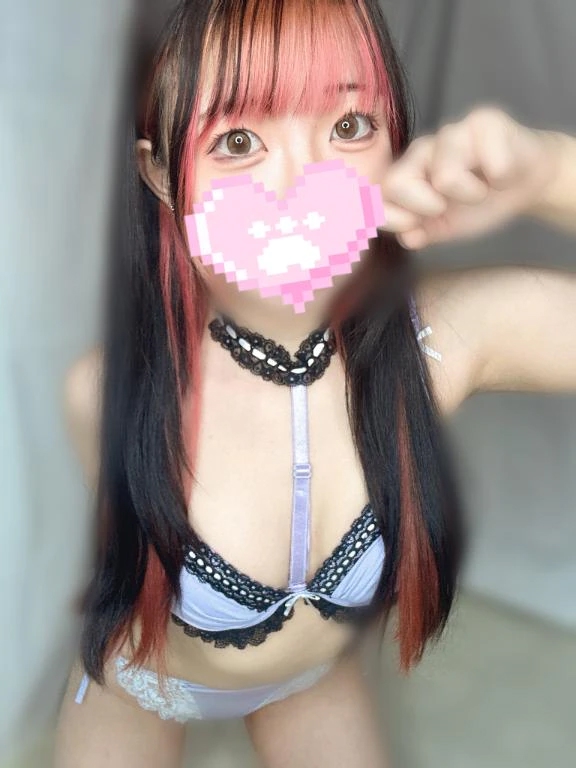 出勤したニャン🐈