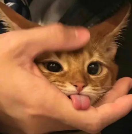 きょお~