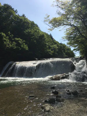 くるみ 奥様仙台人妻セレブリティー