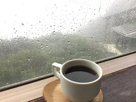 おはようございます/さゆり