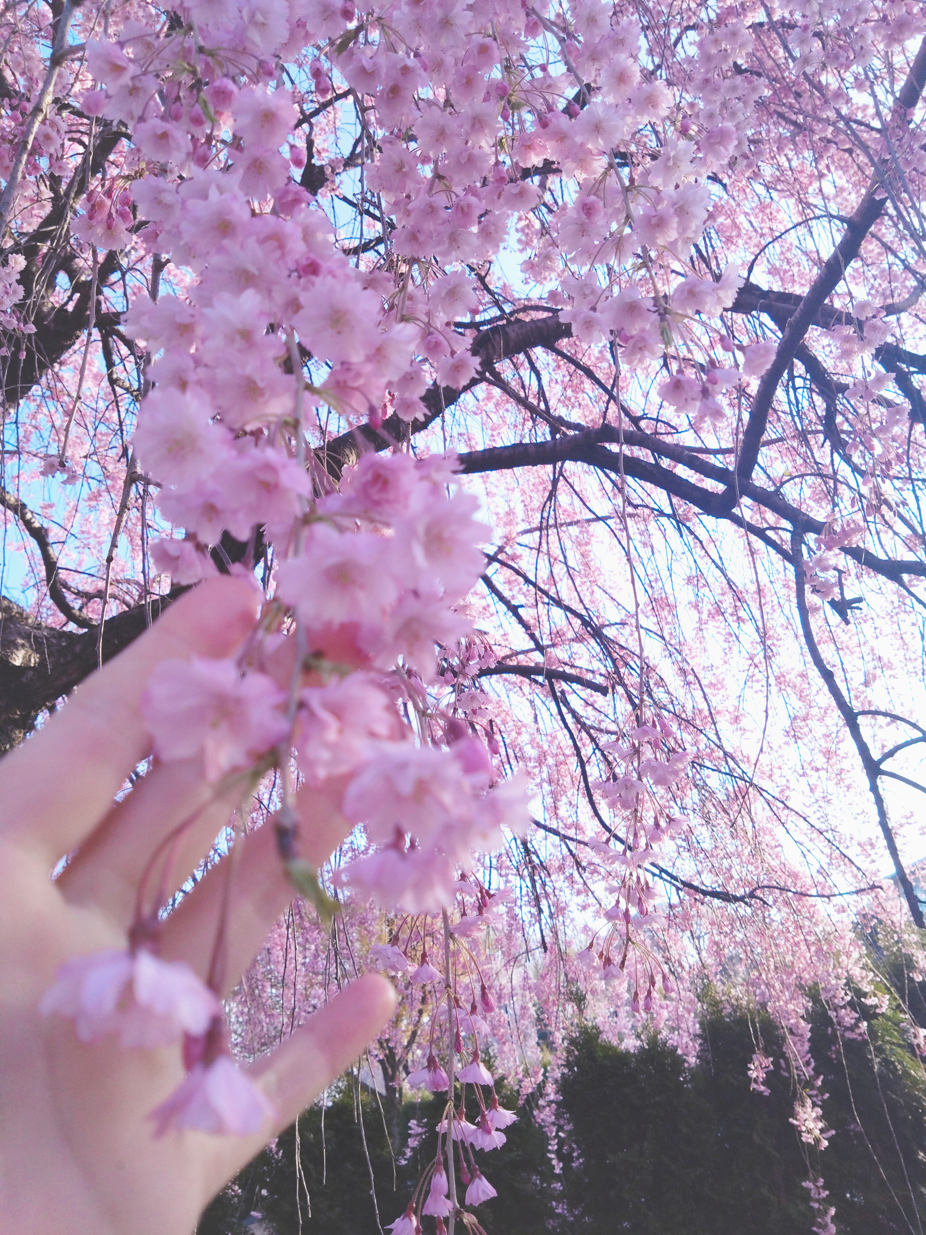 今、お店にいます！