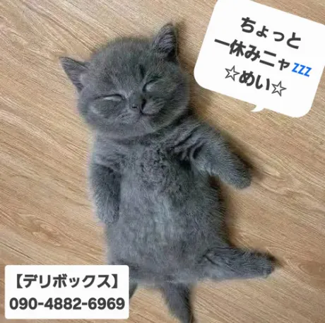 めい (魅惑のEカップ、パイパン嬢)デリボックス