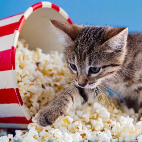 ゆり即プレイ専門店　性の極み