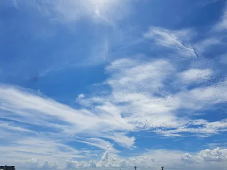 いつき奥様メモリアル
