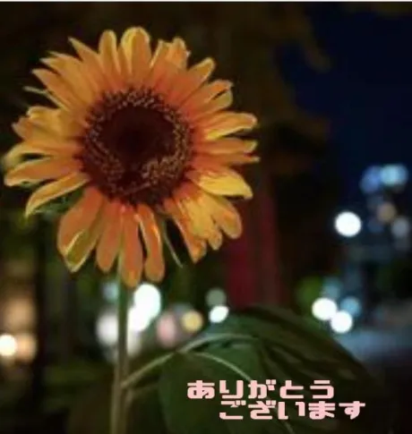 まりな【最高な美熟女】おばさんの店