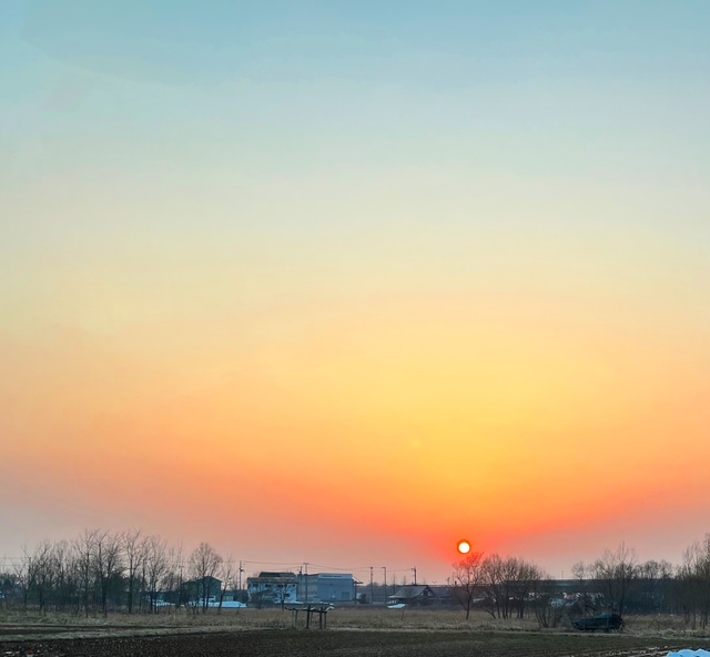 ありがとうございました/れい【青森大釈迦】