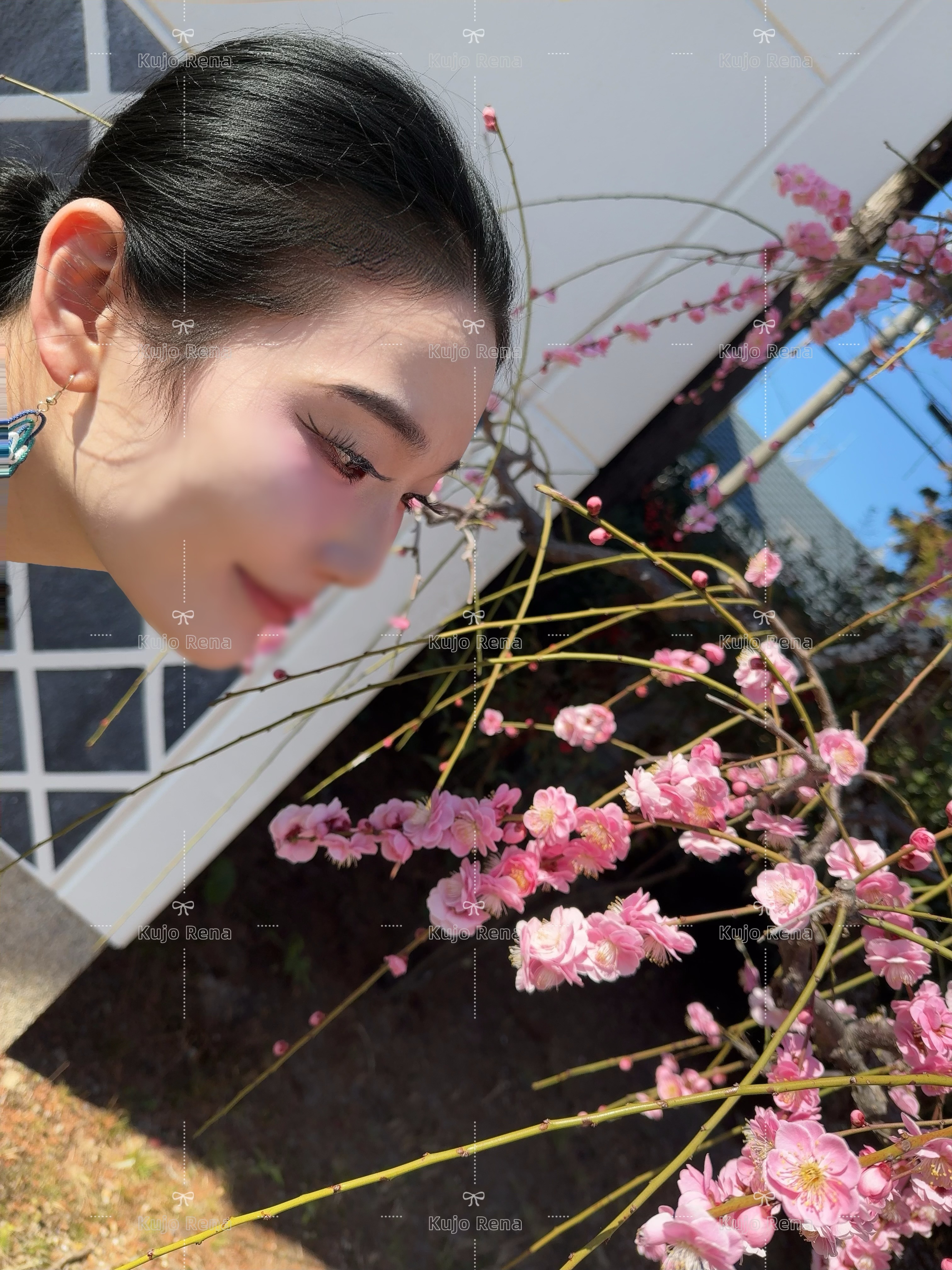 梅の鑑賞会デートで