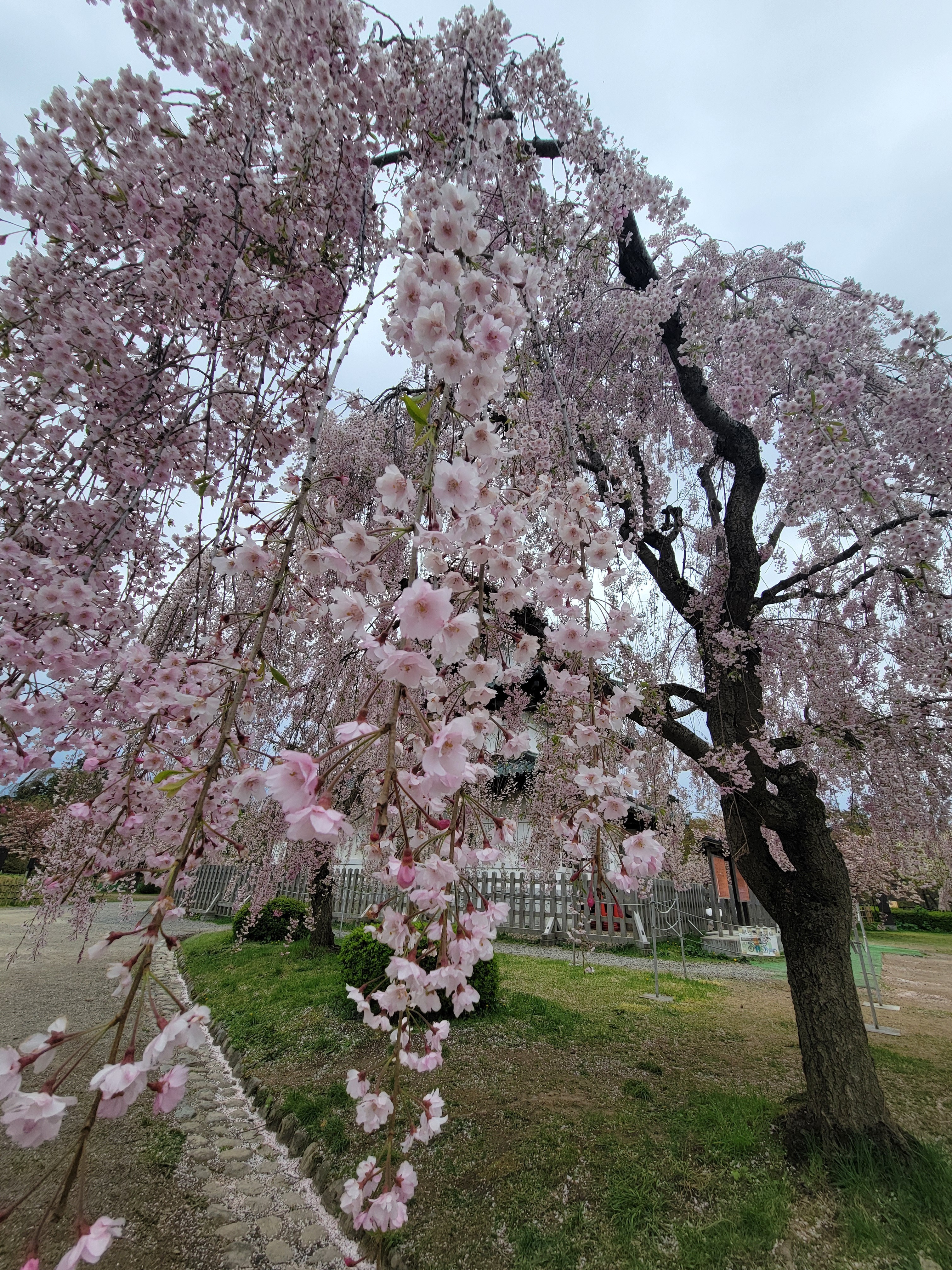 出勤したよ