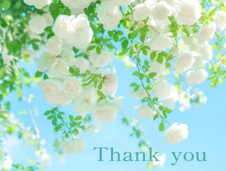 ご予約のお礼/ゆりか
