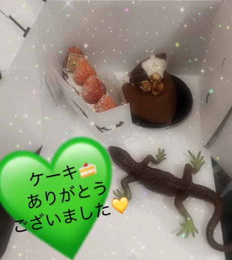 ★ユイのブログ 🌈こんにちは☁