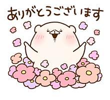 本日の御礼です☆彡