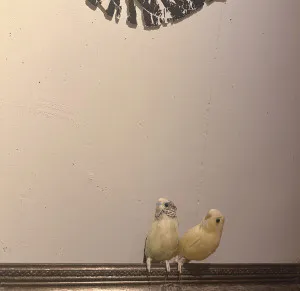 ゆきな 奥様のブログ 金曜
