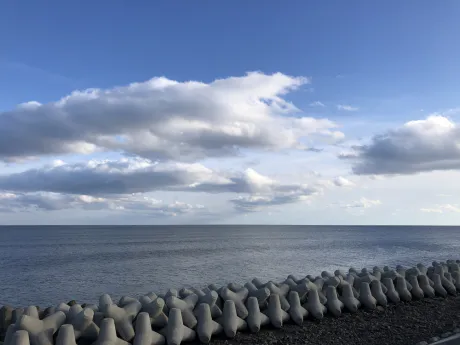 3 月 1 日の御礼 💌/はつね