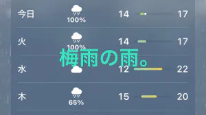 かりん 奥様仙台人妻セレブリティー