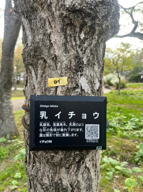りののブログ 明日いるよ～