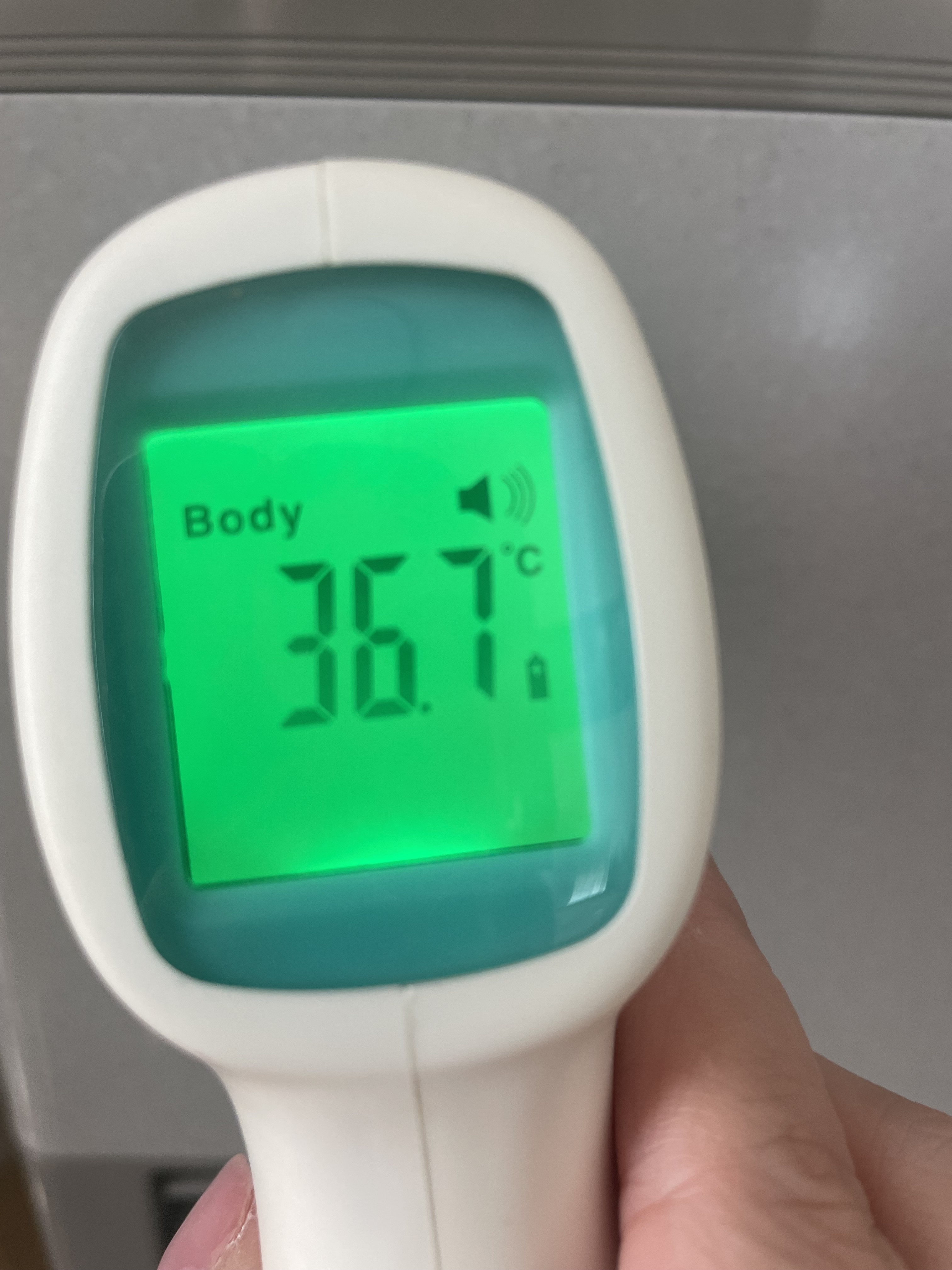 今週は今日で最後/もえ【青森大釈迦】