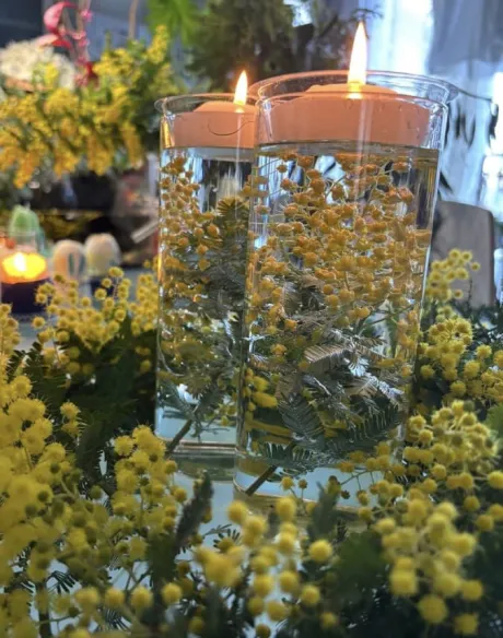 昨夜/【人妻コース】ちさと