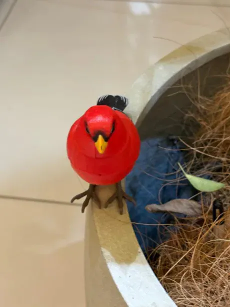 あず奥様メモリアル