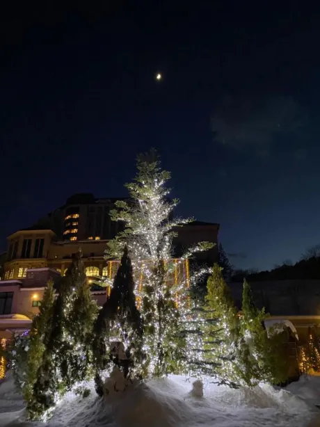 愛海-あいみ-人妻倶楽部　花椿盛岡店