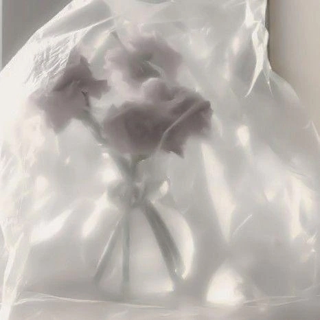 没頭して💭