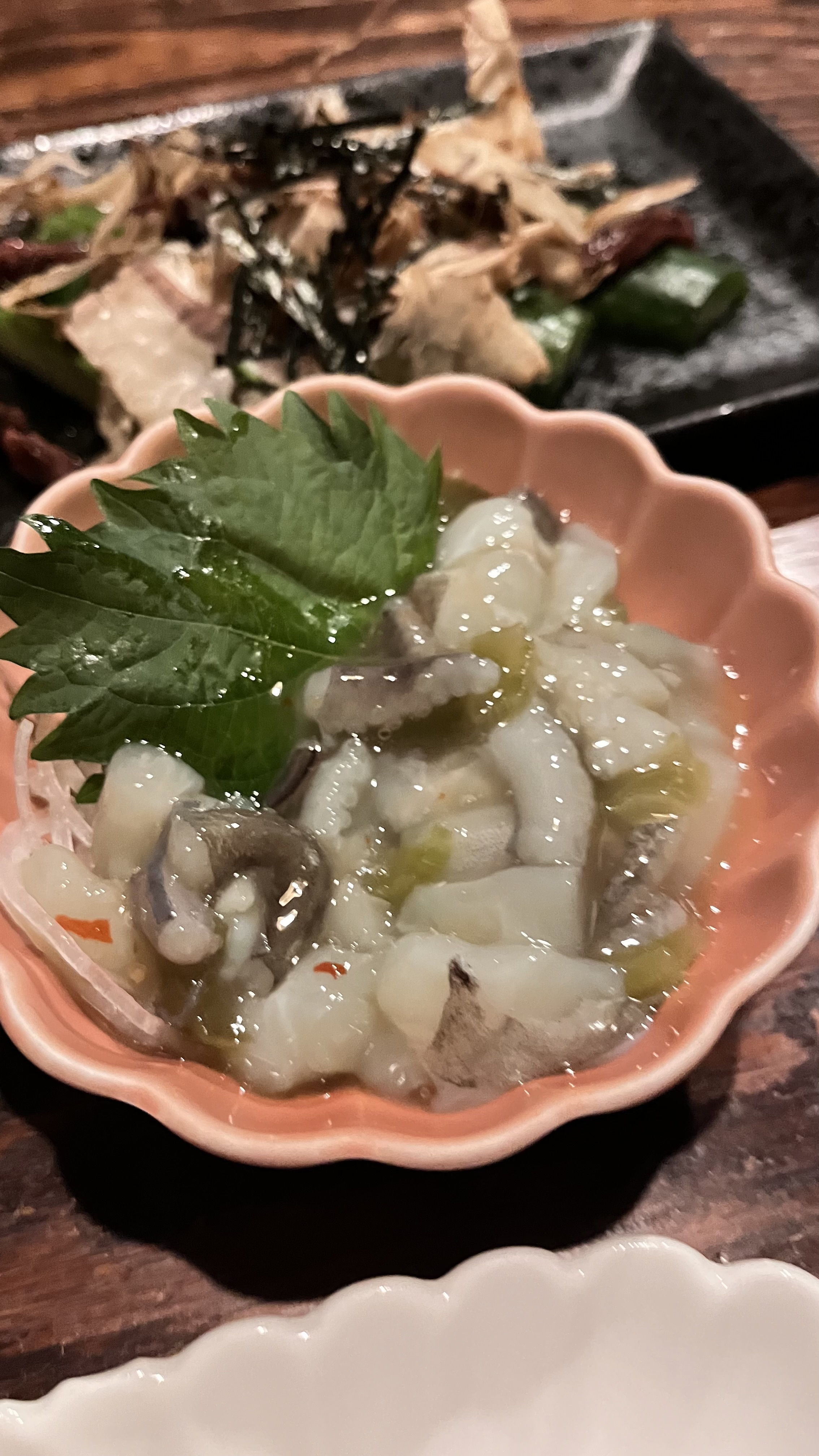 ひさぴさです‼️