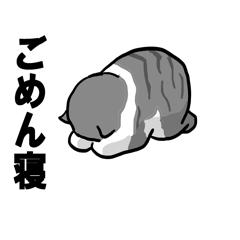 すみませんm(__)m