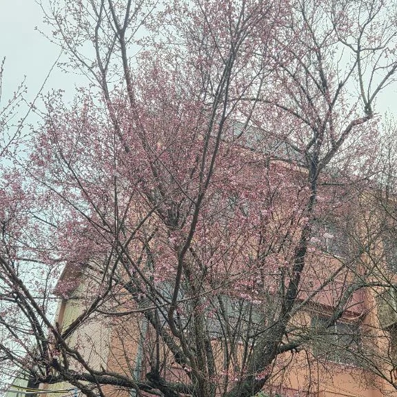 ゆあ仙台回春性感マッサージ倶楽部