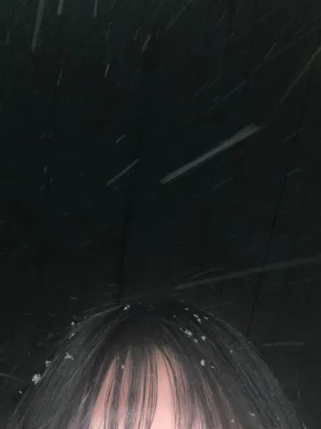 🐻‍❄️/なの