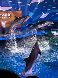 ホント！