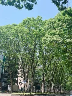 ゆきな 奥様仙台人妻セレブリティー