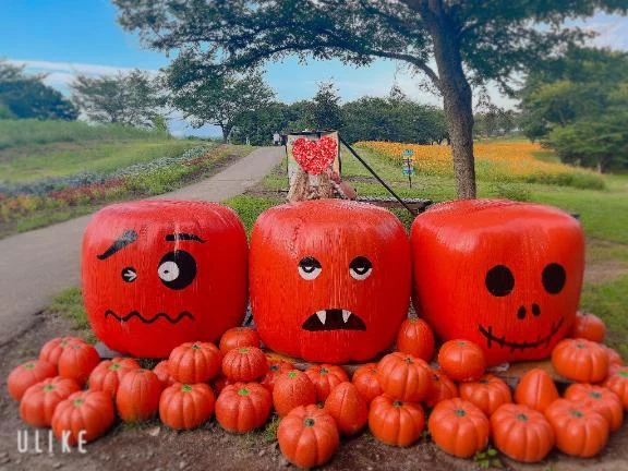 不快なのって人それぞれだけど…