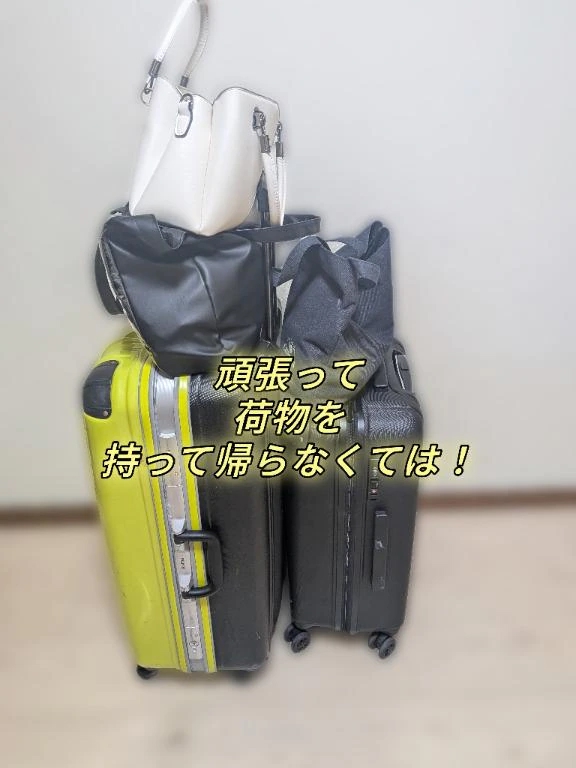 頑張って持って帰らなくては～！！！