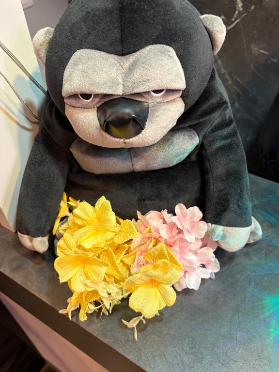 ラブホ調査隊🏩