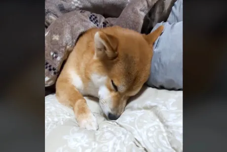 ありがとう ( * ´艸)/なお