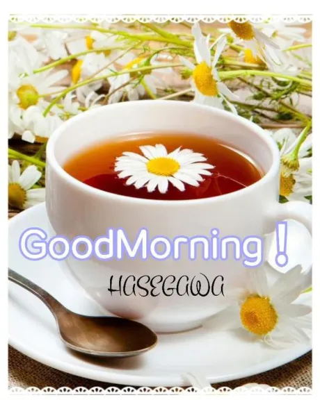 長谷川即プレイ専門店　変態人妻サークル　古川店