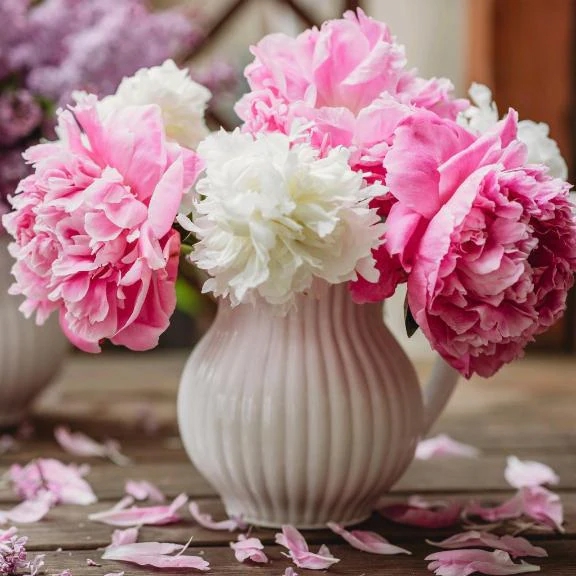 昨日はごめんなさい。