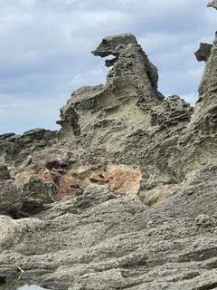 鏡は先に笑わない/りょう 奥様