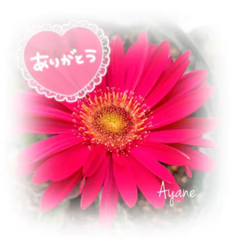 あやね奥様鉄道69　仙台店